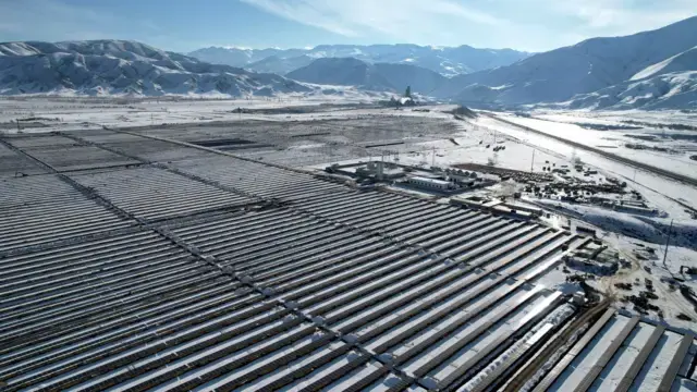 C4444d60 e0ad 11f0 aae2 2191c0e48a3b.jpg